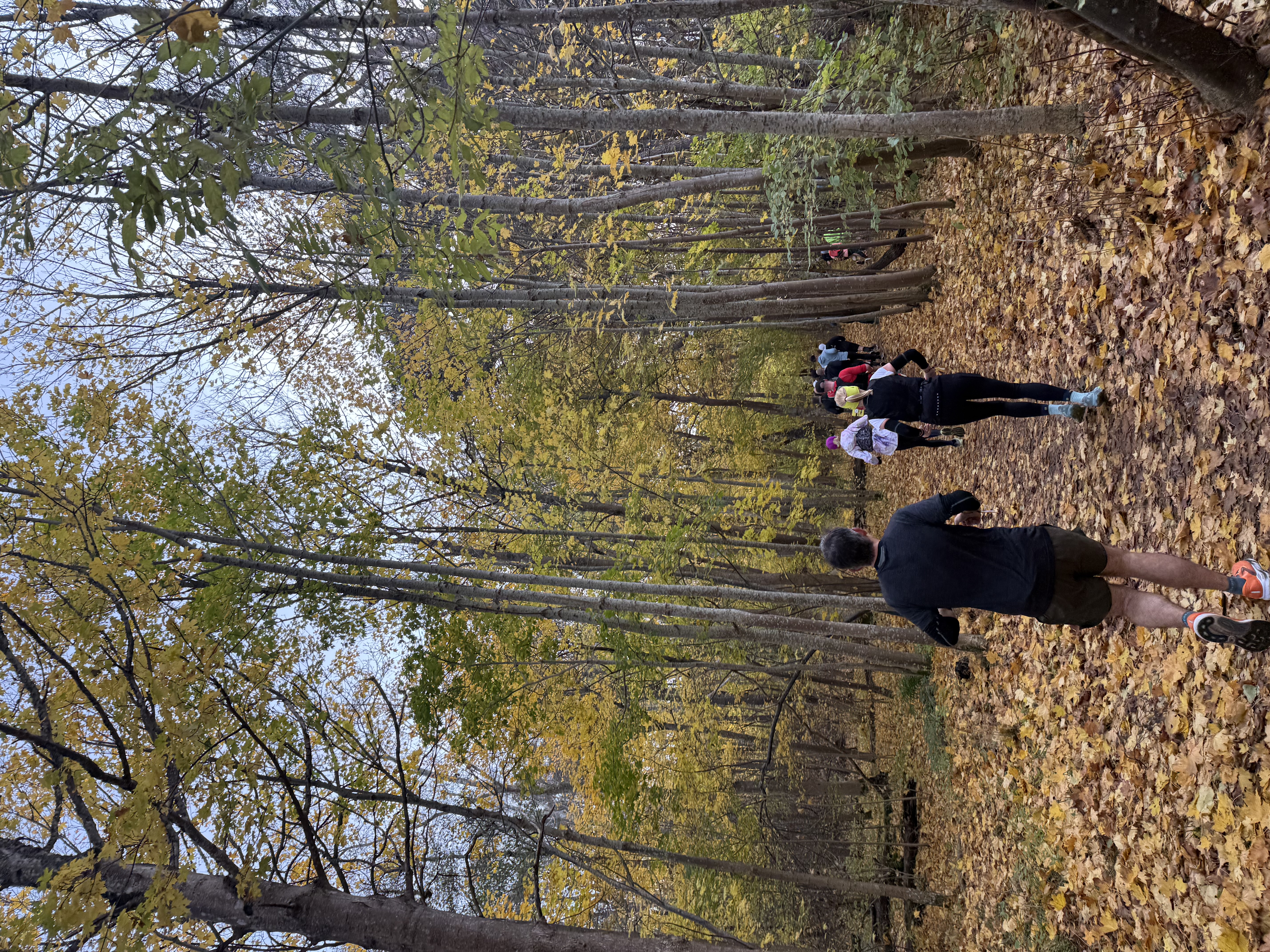 Miles 1.8 – 4: Into the Woods